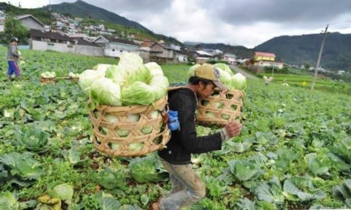sumber foto : portal news
