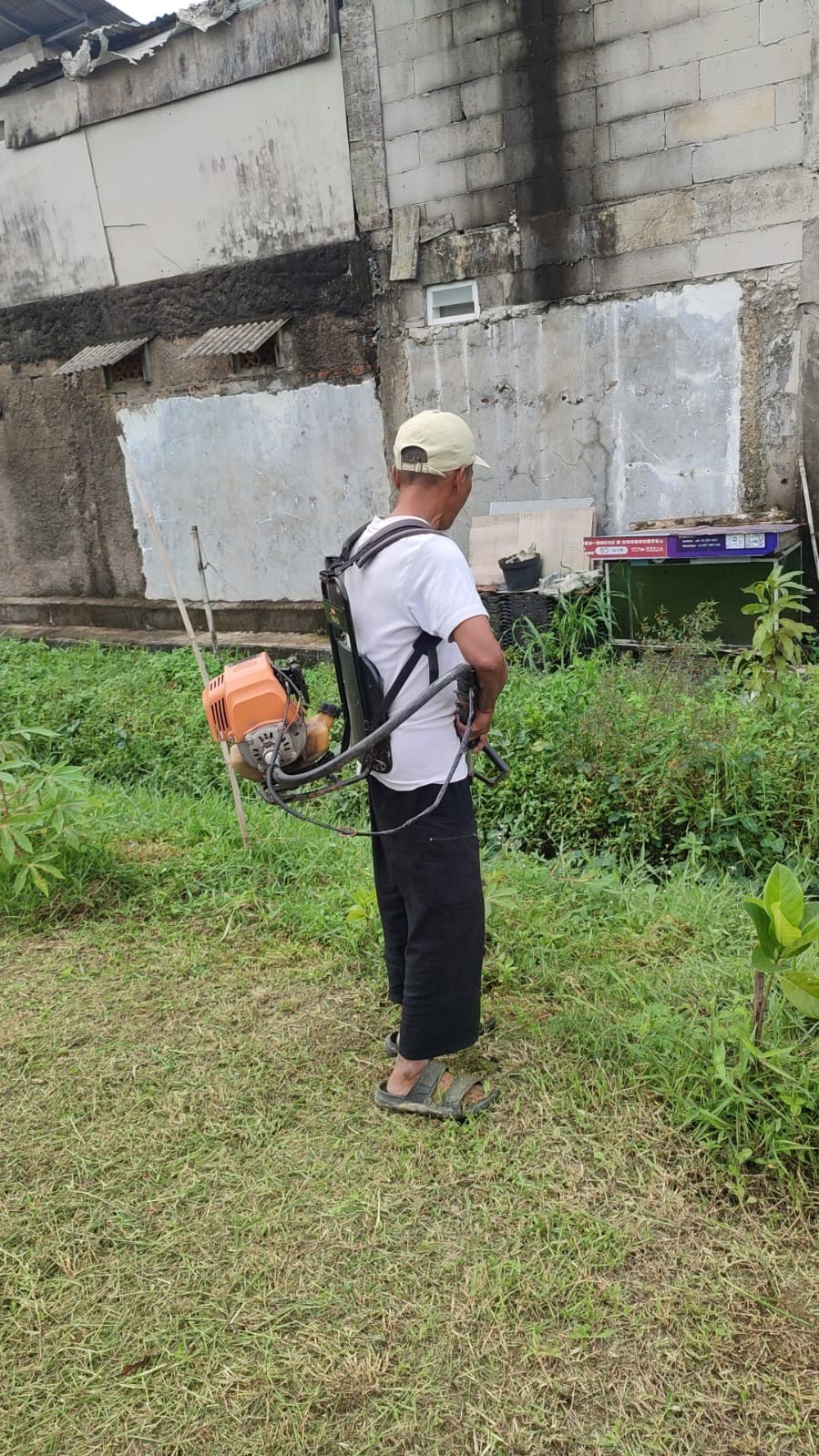 Potong Rumput