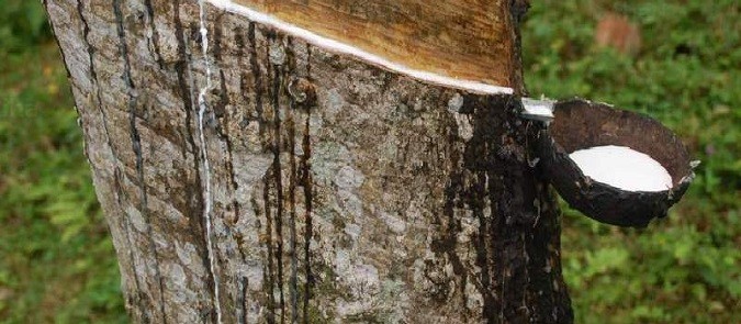 Produksi Industri Olahan Karet Alam Harus Melakukan Diversifikasi