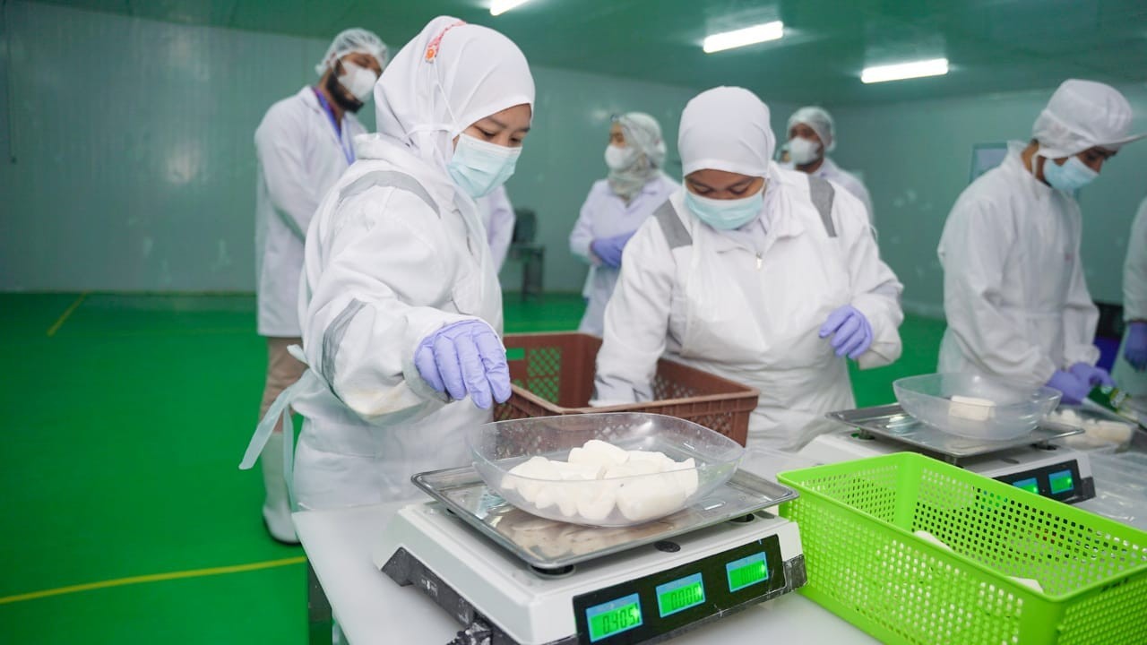 Singkong Beku, Pangan Lokal yang Mendunia