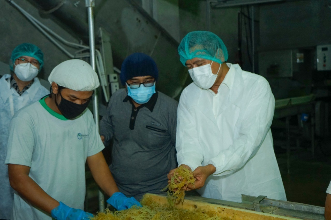 Kemenperin Pacu Diversifikasi Produk Olahan Ikan Hingga Rumput Laut