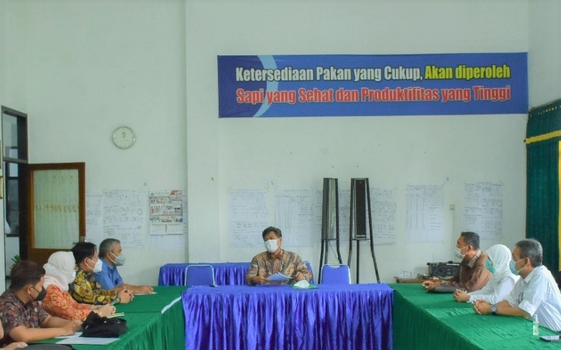 Ketersediaan Pakan Hijauan Tingkatkan Kesejahteraan Peternak Lokal dan Jaga Pasokan Bahan Baku Industri