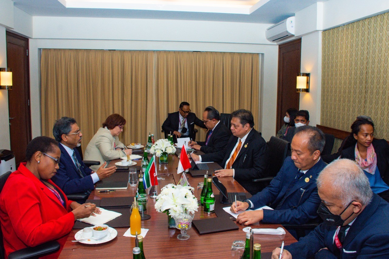 RI-Afsel Jajaki Kerja Sama Sektor Energi, Hilirisasi, dan Otomotif