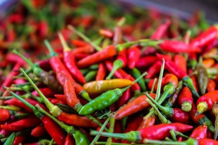 Kemenperin Dorong Diversifikasi Produk Olahan Cabai Rawit Hiyung Kalsel