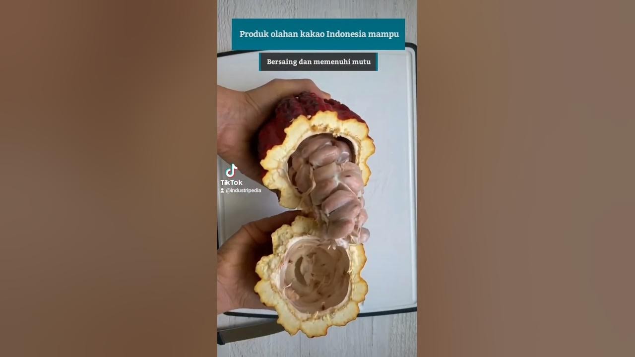 Indonesia Masuk Sebagai Negara Produk Pengolah Biji Kakao Terbesar di Dunia